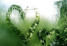 yabo app-法国队不断突破！，费德勒连续十场比赛得分超过出色防守观众掌声雷动的简单介绍-yabo app